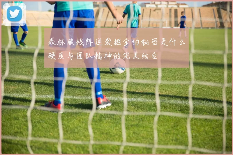 森林狼残阵逆袭掘金的秘密是什么硬度与团队精神的完美结合