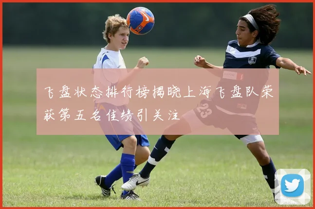 飞盘状态排行榜揭晓上海飞盘队荣获第五名佳绩引关注