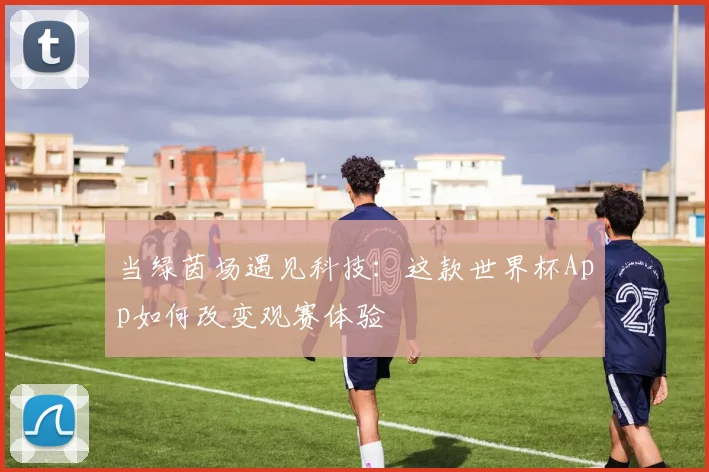 当绿茵场遇见科技：这款世界杯App如何改变观赛体验