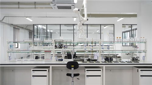 全国人大代表 舍得酒业陈柏蓉 加强食品制造业 智改数转 加快发展新质生产力